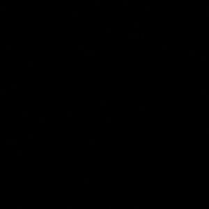 Meet your Posher, Josue