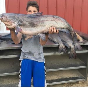 Meet your Posher, Nick