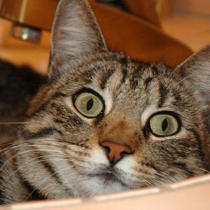 Meet your Posher, Wendy