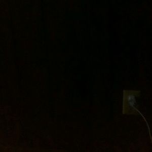 Meet your Posher, Blake