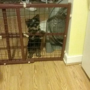 Meet your Posher, Bridgette