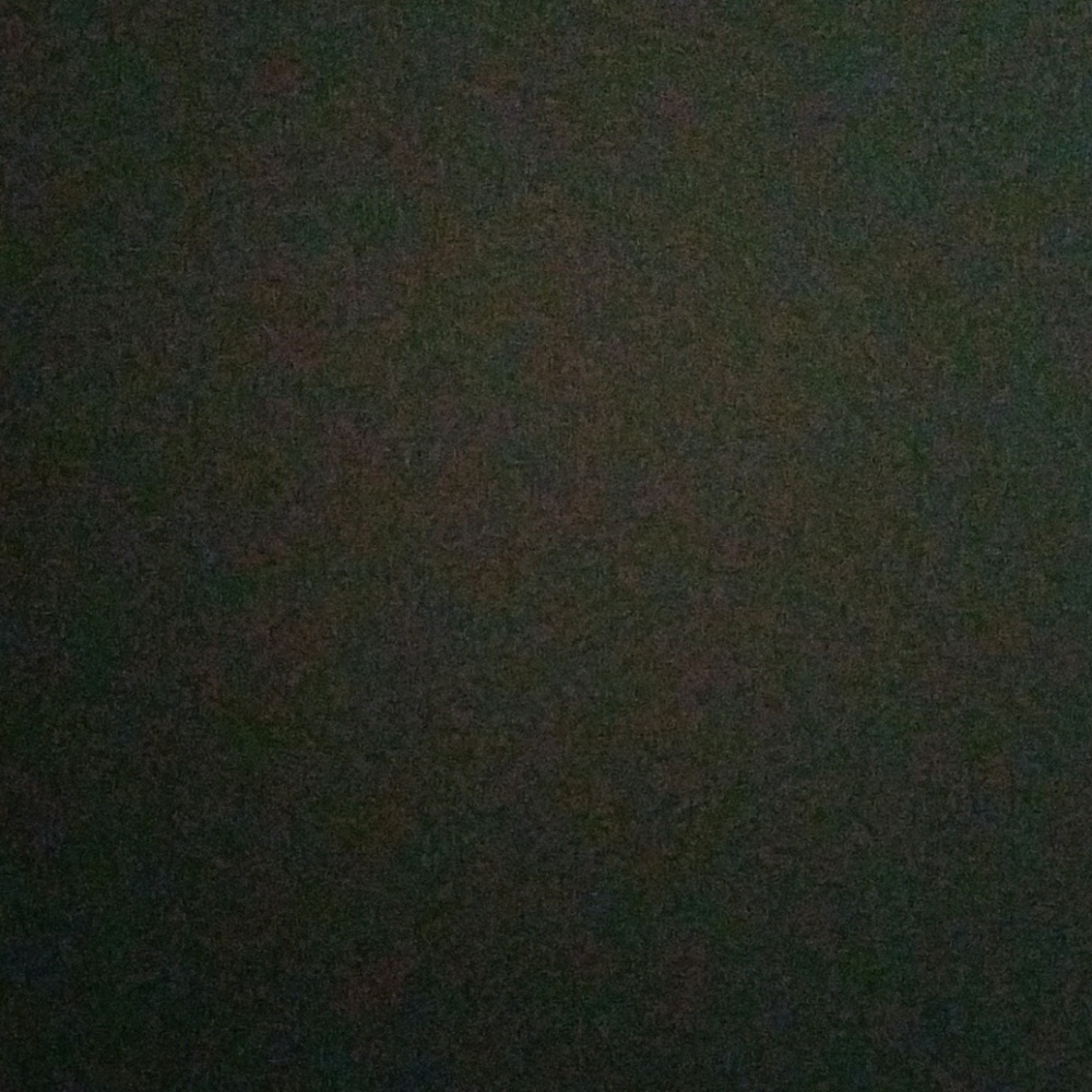 Meet your Posher, Cecilia