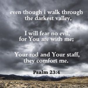 Meet your Posher, Carlos