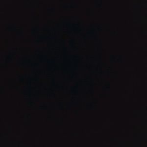 Meet your Posher, Letrice