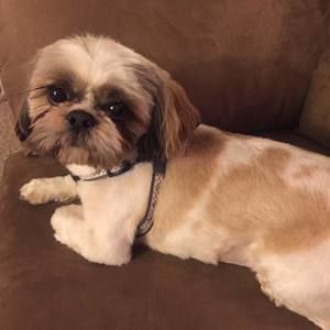 Meet your Posher, Brandie