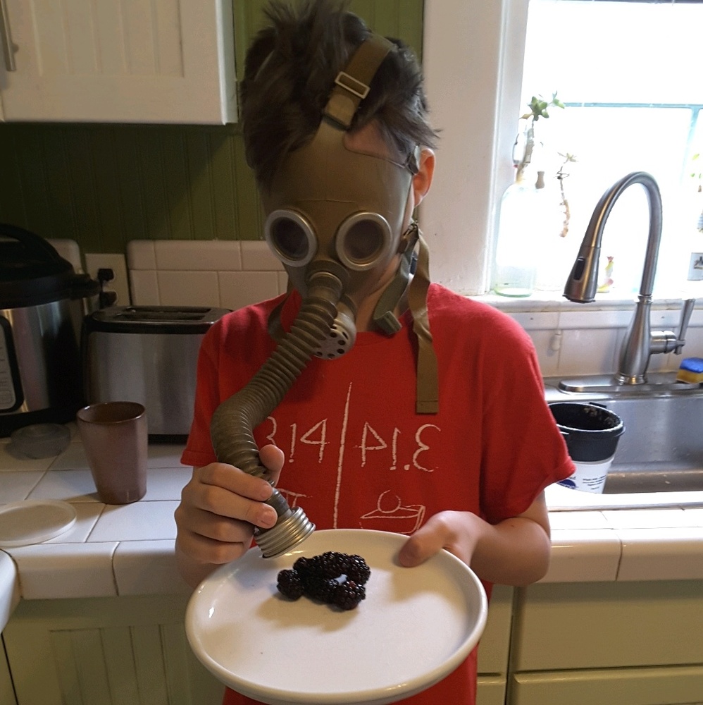 Meet your Posher, Anna