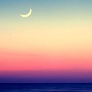 Meet your Posher, Claudia