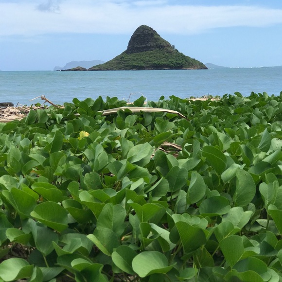 Like ๐๐ผ to bookmark my closet - Picture 5 of 7