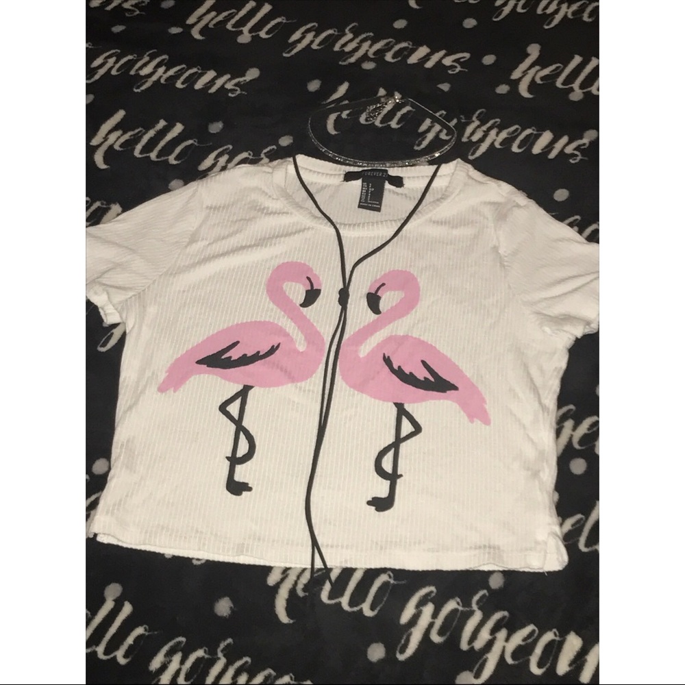Kissing Flamingo Crop Top