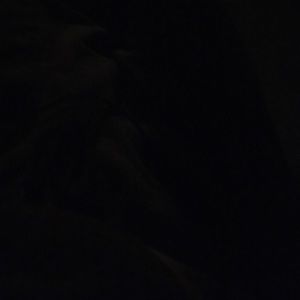 Meet your Posher, Sean