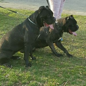 Meet your Posher, Keisha