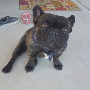 Meet your Posher, Jayde