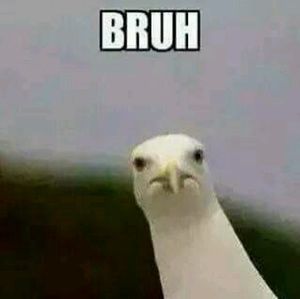 Meet your Posher, Doris