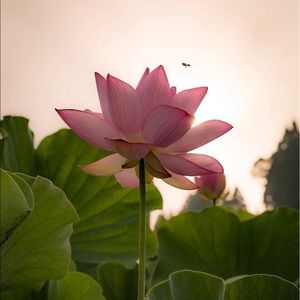 Meet your Posher, Eunice