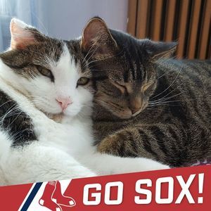 Meet your Posher, Jo