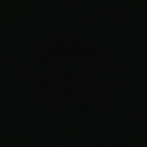 Meet your Posher, Bryant