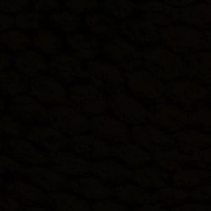 Meet your Posher, Kong