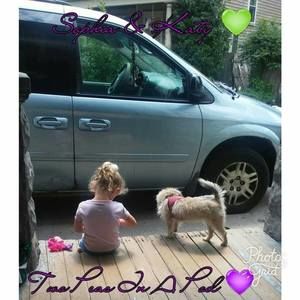 Meet your Posher, Deanna