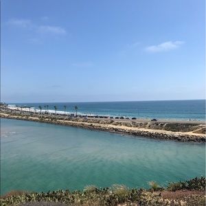 Meet your Posher, Leilani