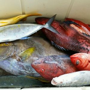 Meet your Posher, Kennedy