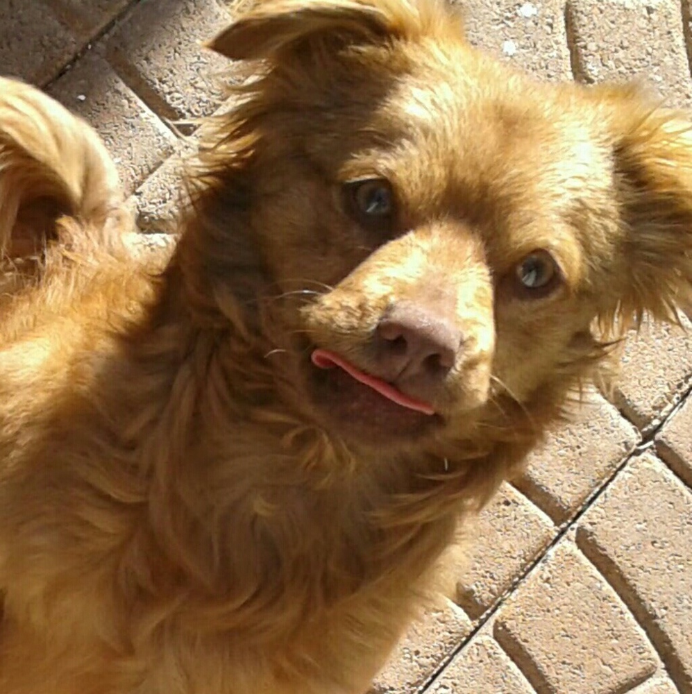 Meet your Posher, Ofelia