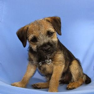 Meet your Posher, Sabrina