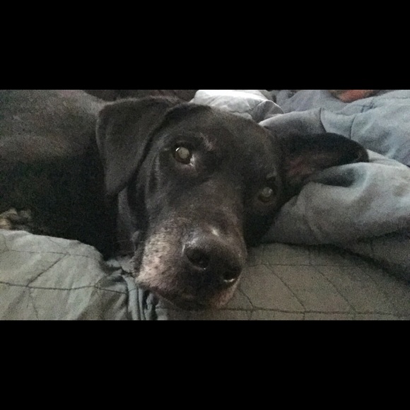 Meet your Posher, Amanda - Picture 1 of 1