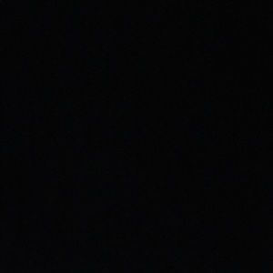 Meet your Posher, Corrina