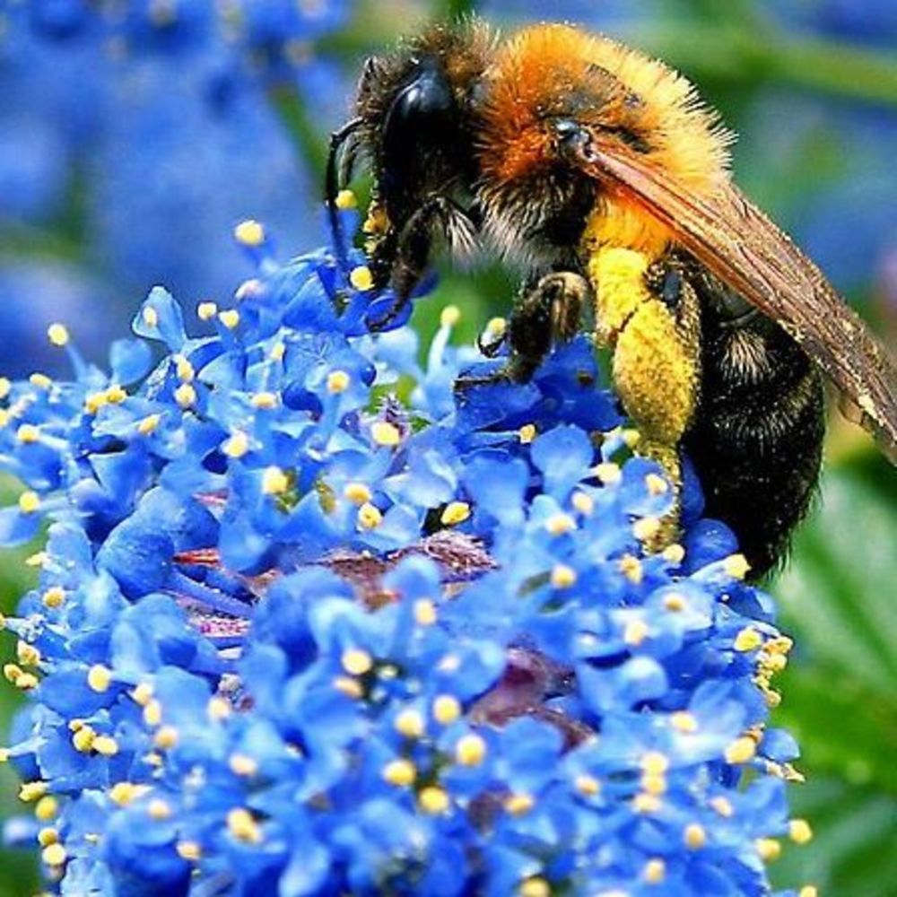 Jenn- A real live person