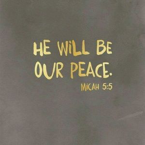 Meet your Posher, Brianda