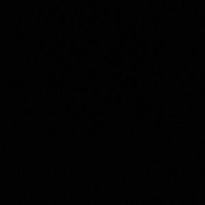 Meet your Posher, Tamia