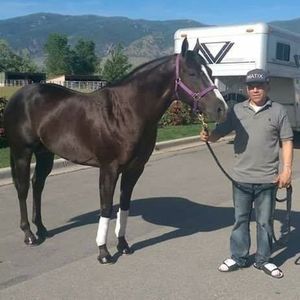 Meet your Posher, Roberto