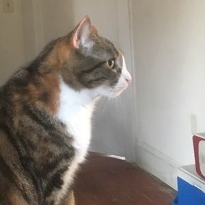 Meet your Posher, Cheryl