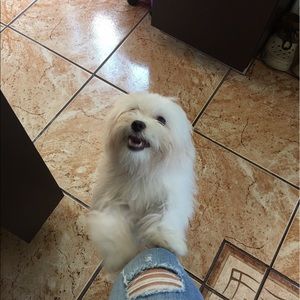 Meet your Posher, Lourdes