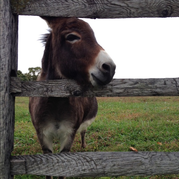 Meet your Posher, Em - Picture 2 of 3