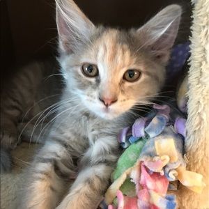 Meet your Posher, Billie ann