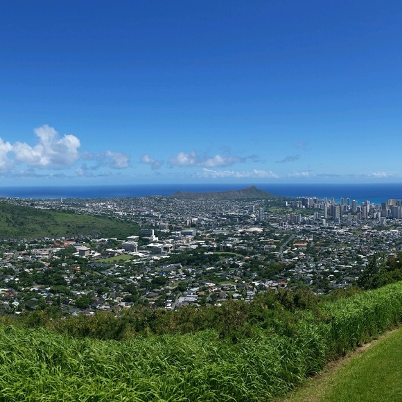 Meet your Posher, Jerell - Picture 1 of 1