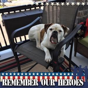 Meet your Posher, Donna