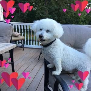 Meet your Posher, Carol