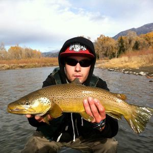 Meet your Posher, Jared