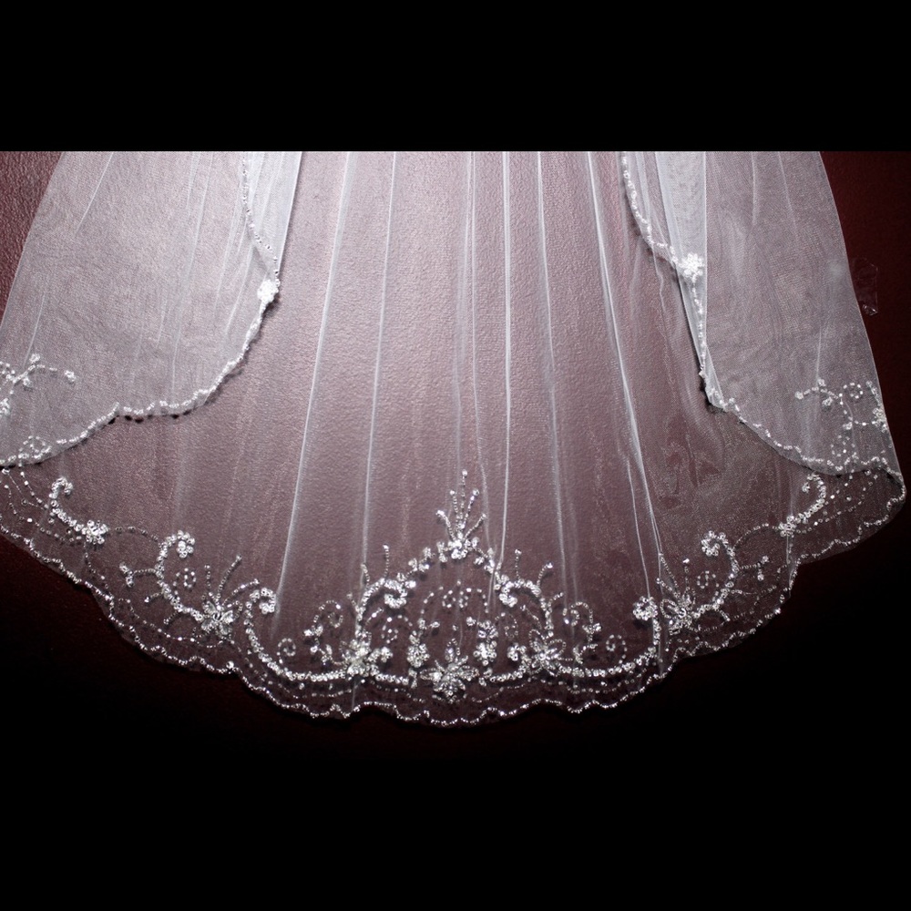 Cathedral length beaded wedding veil