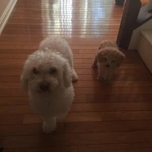 Meet your Posher, Aaron