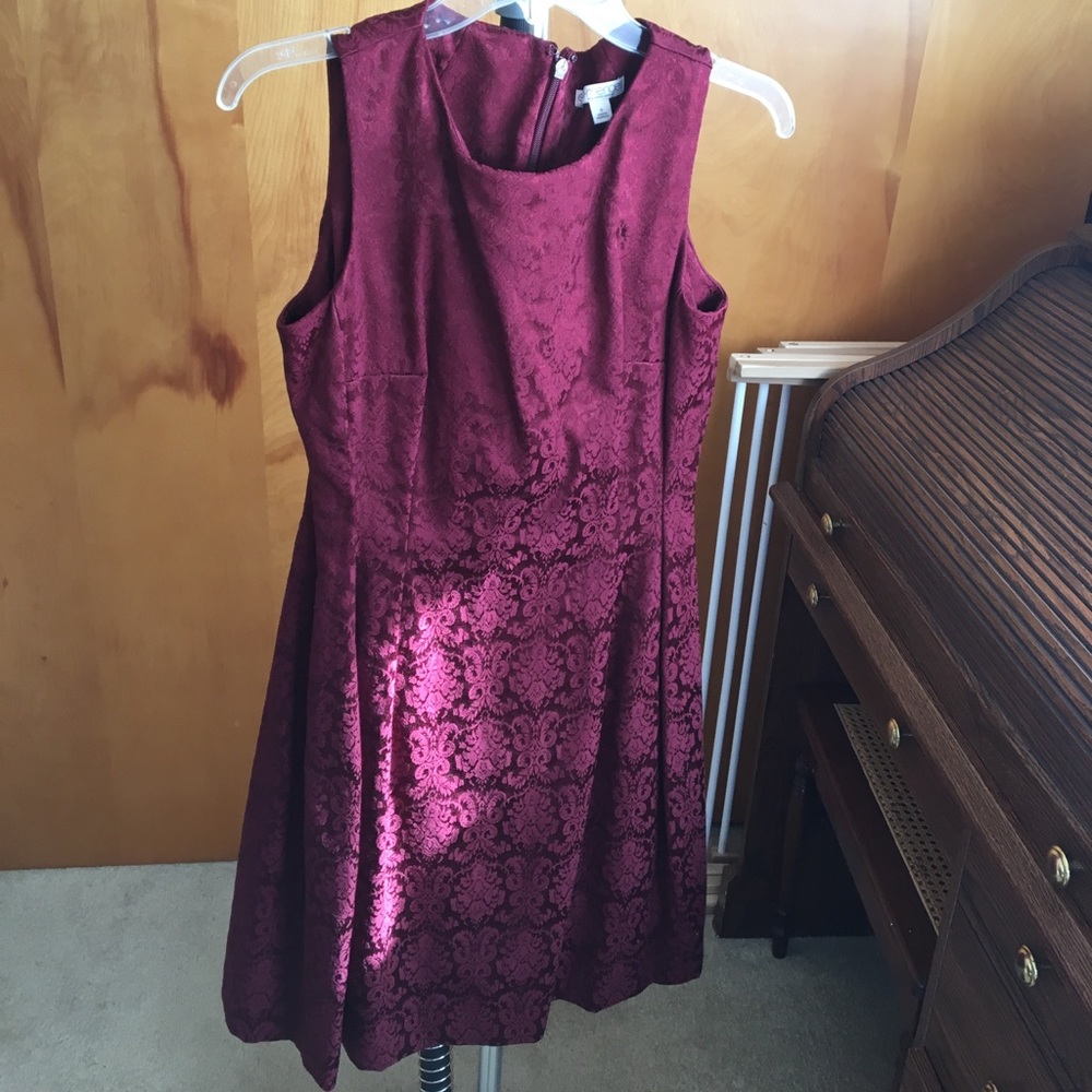 New York and Company Eva Mendez Dress