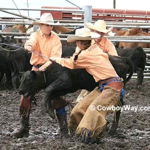 Meet your Posher, Taylor