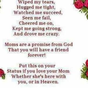 Meet your Posher, Amelia