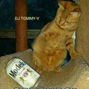 Meet your Posher, Sandro