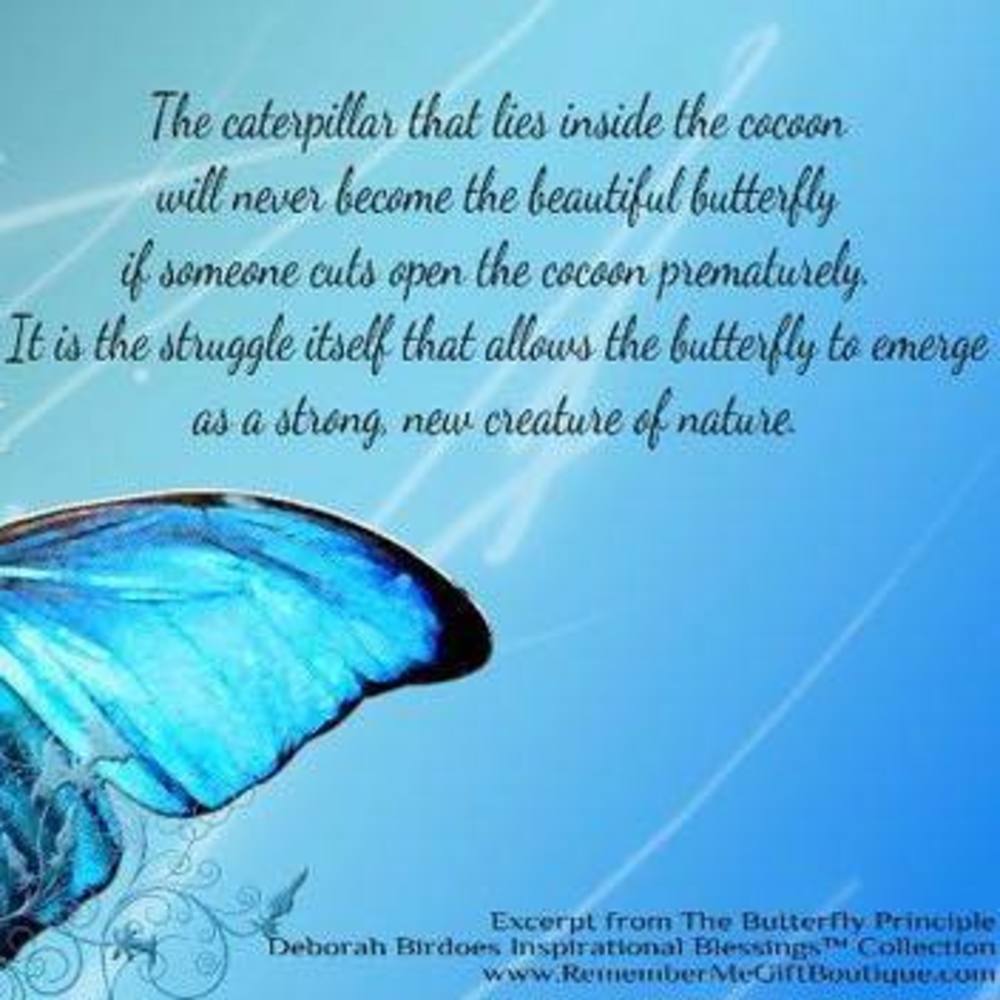 Meet your Posher, Rori