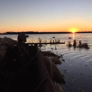 Meet your Posher, Robbie