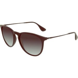 women's RAY BAN RB4171