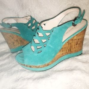 Teal wedges